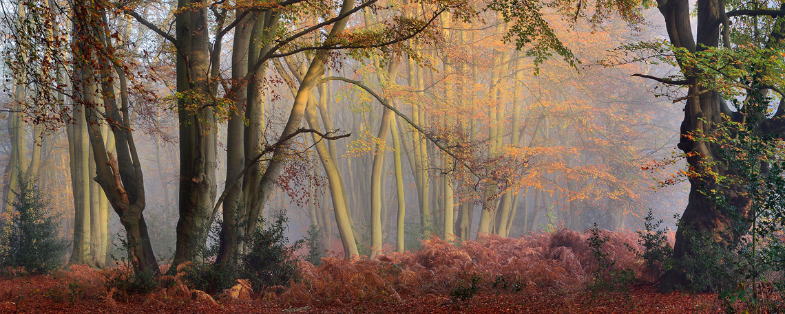SA Gemeente Noordwyk*Eredienste in Theydon Bois 